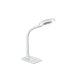 Lampa biurkowa LED 5W LUPO 527290101 Trio