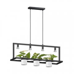 Lampa wisząca PLANTER P0536-04B-P7AB Zuma Line