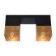 Lampa sufitowa RENATE 21123/02/02 Lucide