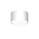 Oprawa natynkowa spot typu DOWNLIGHT 1366 Luminex