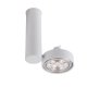 Lampa reflektor spot NATORI 7209 Antigo